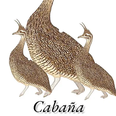 Cabana Las Martinetas Maria Grande Exterior photo